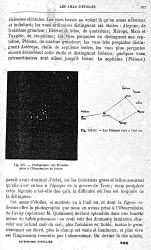 プレアデス星団